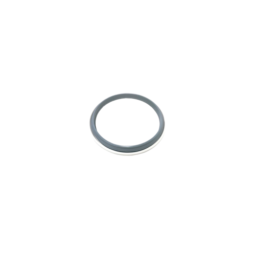 Vieser clamping ring and seal for low extension ring